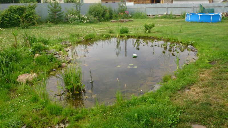 Водоем На Даче Своими Руками Фото