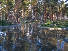 Декоративный водоем 9.jpg