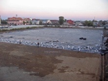 стадион Юбилейный г.Бийск 7