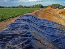 пруд для орошения 4