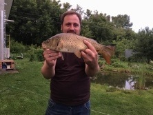 Карпы ловятся в пруду